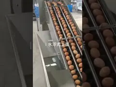 Машина для ломания и разделения яиц / оборудование для обработки жидких яиц video