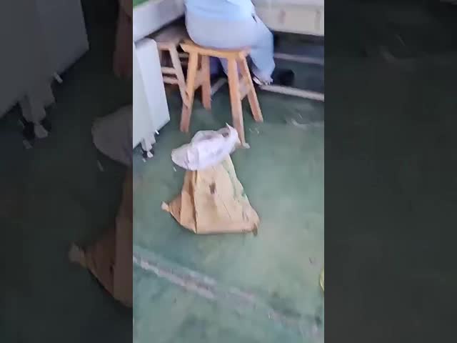 Сброс жира Ленивый ритм тела Тряска тела Упражнения Вибрация Похудение Сжигание жира Фитнес видео