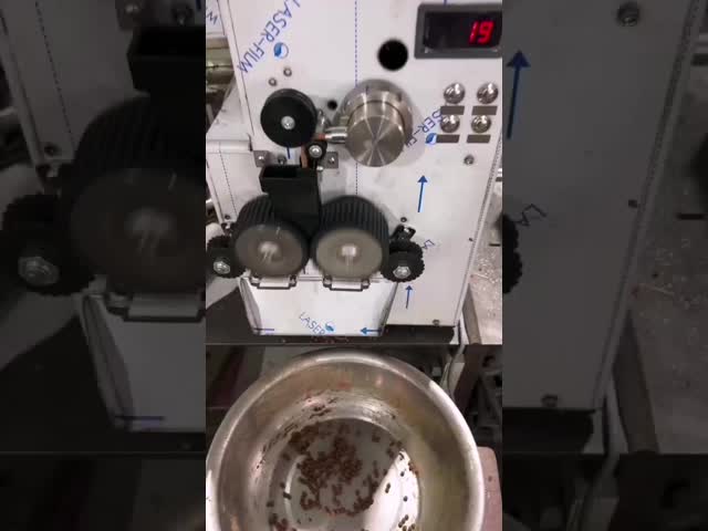 Fully Automatic Intelligent Chinese Pill Making Machine 800W DZ-200