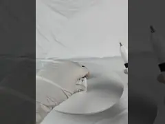 Белинг Звуковой ирригатор Советы Эндо-активатор для стоматологического инструмента Корневой канал Звуковой ирригатор Эндодонтические стоматологические инструменты video