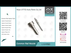 L121PBD Delphi Common Rail Nozzle For Injectors EJBR01601Z