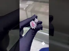 マルキース 心臓病研究所 成長したダイヤモンド 宝石 ピンク ダイヤモンド 指輪 18k 白金 オーダーメイド 宝石