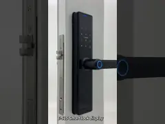 ELA Door LocksLuxury Style Electric Safety Handle Digital Tuya Ttlock Wifi Fingerprint Door Intelligent Lock