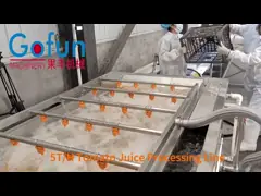 1000 Tons Per Day Concentrated Juice Production Line SUS304 For Fruit Processing Plants