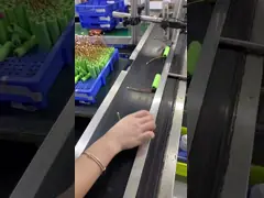 OEM Nimh AA аккумулятор с перезаряжной батареей 2200mah Никель-металл-гидрид аккумулятор video