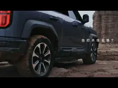 Leopard 5 on Mountain