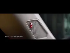 1.5L Adult Gasoline Volkswagen POLO Car With A Maximum Speed Of 185km/H