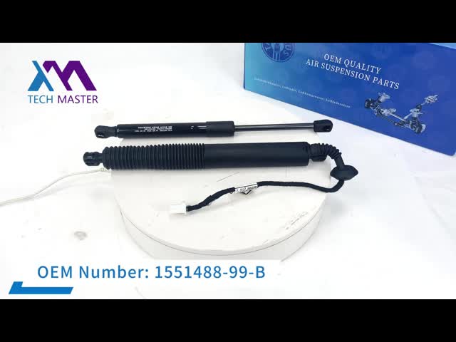 51247332697 Rear Right Bumper Power Liftgate Actuator For BMW X6 E71 Shock Absorber video