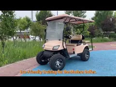 Оптовая продажа 4-пассажирской гольф-коляски video