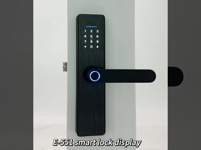 ELA E-551 Биометрический отпечаток пальцев Smart Lock Hotel Door Lock с электрической функцией для умных домов или офисов видео