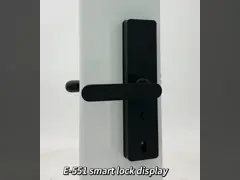 ELA E-551 Биометрический отпечаток пальцев Smart Lock Hotel Door Lock с электрической функцией для умных домов или офисов video