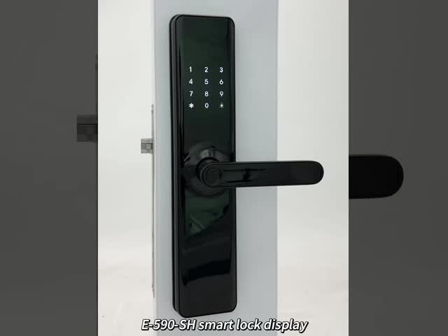ELA Waterproof Outdoor Anti Theft Electronics Push Lock Smart Fingerprint Digital Safe Door Lock For Home Smart DoorLock