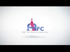 Анти- поплавок SS 304 клапана отпуска воздуха комбинации молотка воды video