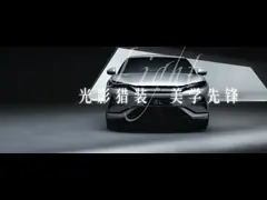 Song L EV 662km excellent model 5 door 5 seat SUV