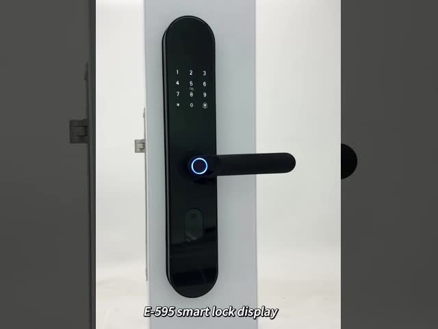 ELA E-595 Высокое качество TUya Wifi цифровой отпечаток пальцев без ключа доступ к умному домашнему ручку замка