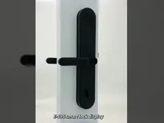 ELA E-595 Высокое качество TUya Wifi цифровой отпечаток пальцев без ключа доступ к умному домашнему ручку замка video