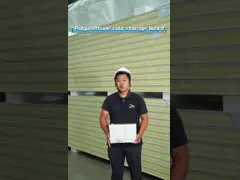 Холодное хранилище ПУ панель с настраиваемым цветом и обработкой поверхности video