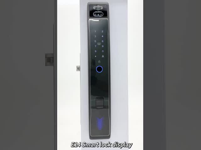 Tuya App Remote Unlock Wifi Digital Smart Lock Камера Видео Интерком Лицо Отпечаток пальца Умный замок Пальмовая вена Карта Ключевой замок видео