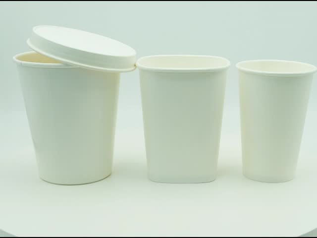paper cup