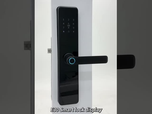 Tuya Ttlock Fechadura de porta inteligente biométrica Tuya TTlock Fechadura de porta inteligente digital Wifi segura