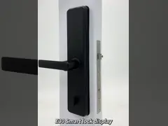 Tuya Ttlock Biometric smart door lock Tuya TTlock Secure Wifi digital smart door lock video