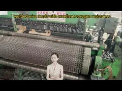 2 X 4 оцинкованная проволочная сетка тяжелая и долговечная для 1 'сетка Размер 8 габарита сварная проволочная сетка video