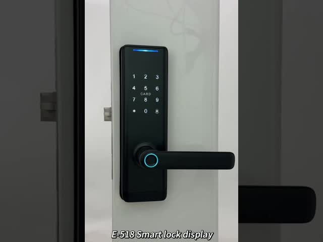 Умный ключ Wifi Интеллектуальный электронный дверной замок безопасности Замок отпечатков пальцев с удаленным управлением Приложение для офиса