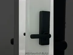 Умный ключ Wifi Интеллектуальный электронный дверной замок безопасности Замок отпечатков пальцев с удаленным управлением Приложение для офиса video