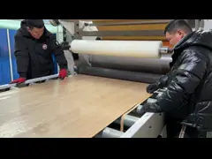 Горячие панели стены облицовки древесины угля зерна древесины доказательства огня и насекомого продажи бамбуковые video