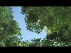 Song L EV 550km beyond 5 door 5 seat SUV