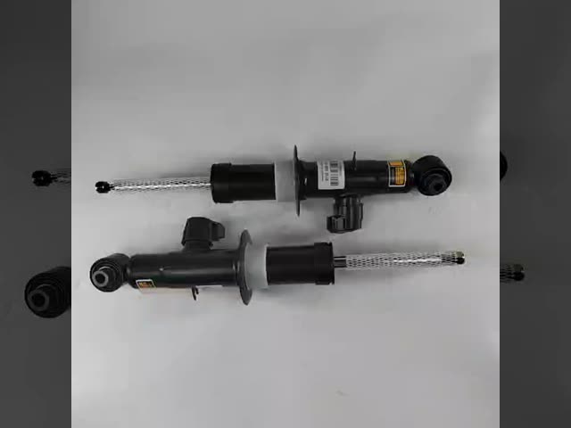 BMW X5 G05 RWD xDrive 19-22 のための後部左右の衝撃吸収材の支柱 37106869023 37106869024