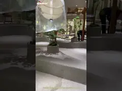 Стригоустойчивое покрытие наружной стены гранитного камня текстура краски для дома CAS No 79-10-7 video