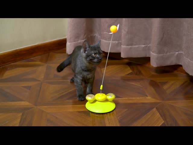 トイストアンドブーンズドーナット猫のおもちゃ - プレミアムキャットニップとフラッシングボールプレイセット