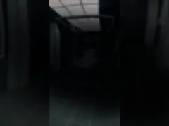 China Silicone-coated Paper Matte Color PPF with UV Protection and Release Liner supplier