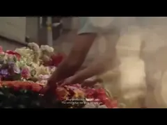 Volkswagen Electric Adult Car VW ID7 Vizzion Used New Energy Vehicle