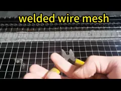 Гальванизированная сварная проволочная сетка 3/4 дюймовая ткань для аквакультуры video