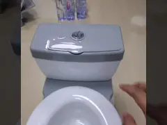 Factory Directly Supplier Baby Potty Non-Toxic Child Training Toilet Cute Cartoon Design For Toliet Trainer video