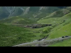 Leopard 5 in water no one can stop