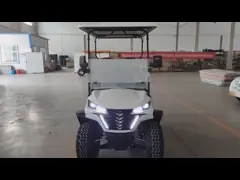 Автомобильная электрическая четырехместная гольф-коляска Новый стиль дизайна с профессиональным инструментом video