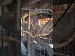 Livestock Barn Exhaust Fan With 52.9m³/h Air Volume And 1.7A Current