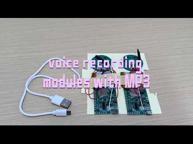 ODM OEM Audio Recordable Sound Module With Speaker PCB Board