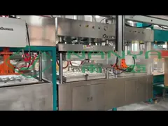 Tableware пульпы 450V Thermoforming делая коробку еды пульпы машины делая машину video