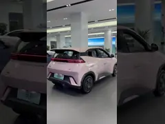 ABS оснащен 75 HP распределителем Чистый электрический хэтчбек для безопасного городского передвижения video