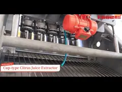 Cup-type of juice extractor for NFC orange juice and concentrated juice