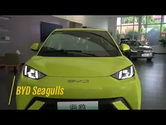 बीड सीगल ईवी कार