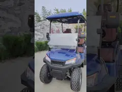 Новый стиль Современный 4-местный гольф-коляска перезаряжаемый дальнобойный внедорожник для грубой местности video