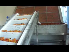 Обезвоживатель абрикосов авокадоа смоквы машины промышленной печи еды плода ISO9001 более сухой video