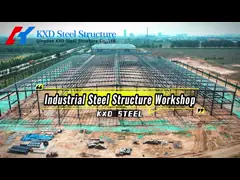 Automatic Steel Structure Poultry Farm Shed Design Modern Chicken House