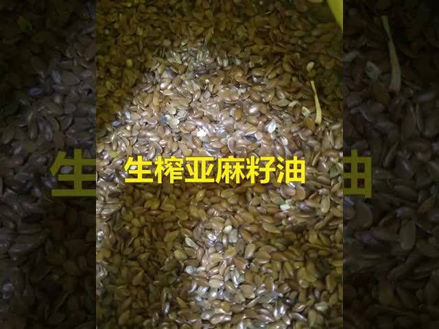 Экспеллер масла прессы автоматической домашней гидравлической промышленной машины прессы масла холодный видео