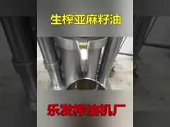 Экспеллер масла прессы автоматической домашней гидравлической промышленной машины прессы масла холодный video